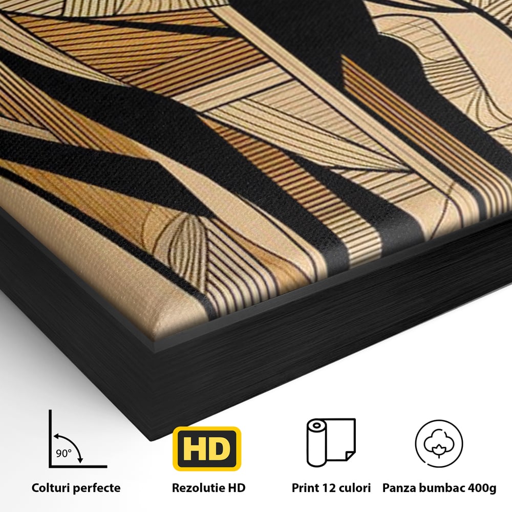Detaliu al suprafetei: tablou canvas cu elefant geometric, in rama de aluminiu negru