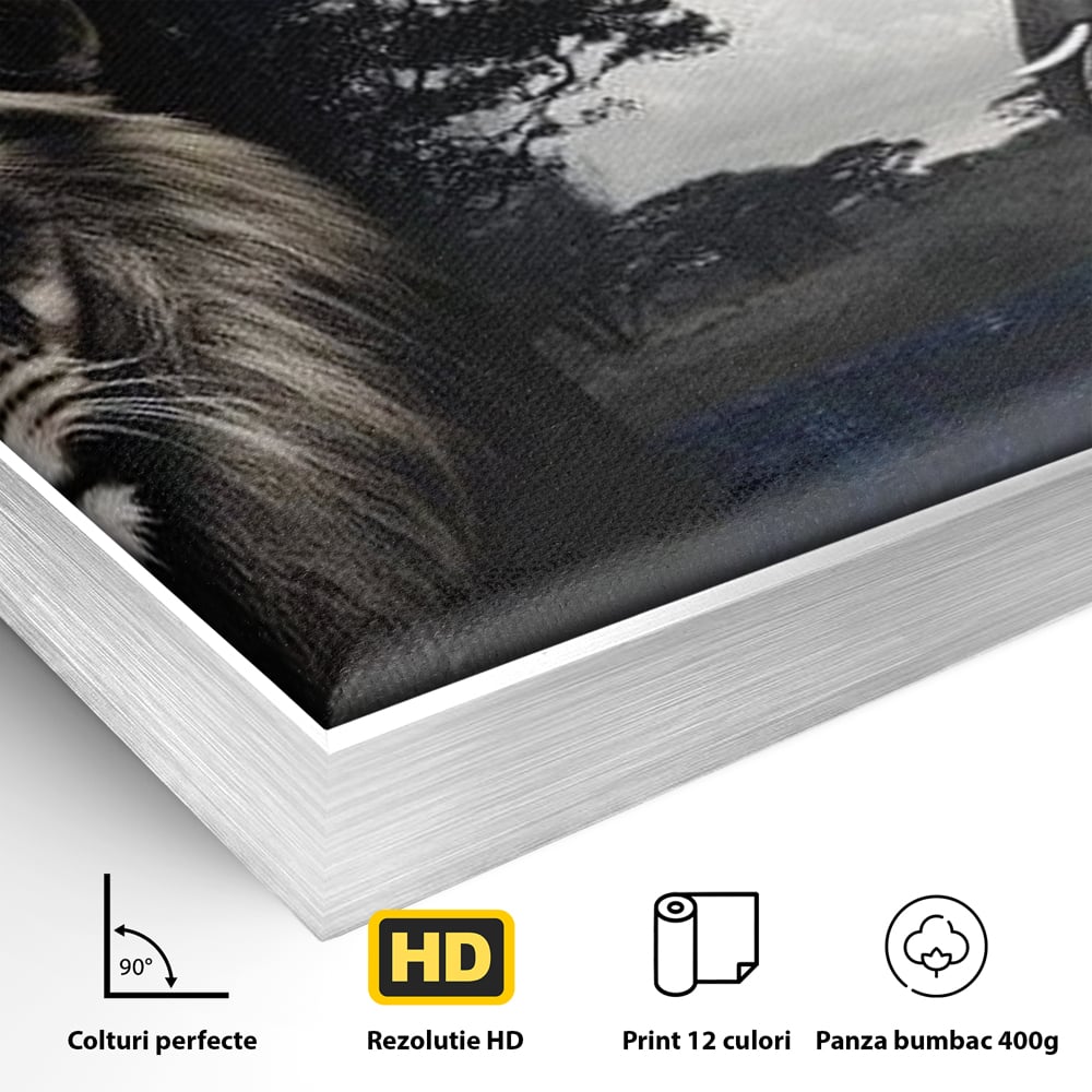 Detaliu al suprafetei: tablou canvas cu leu si elefant, in rama de aluminiu argintiu