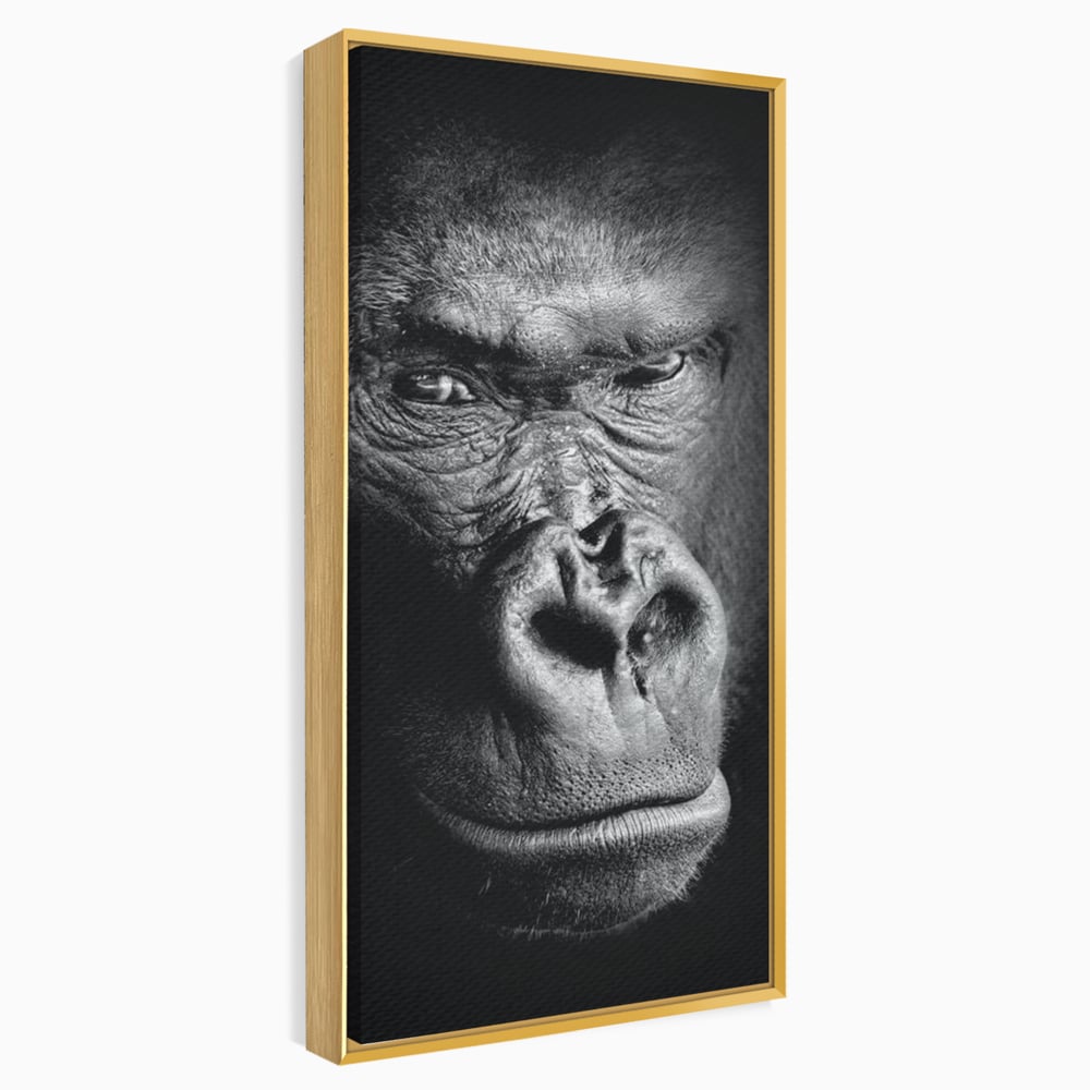 Tablou canvas cu tablou canvas cu portret de gorila, in rama de aluminiu auriu