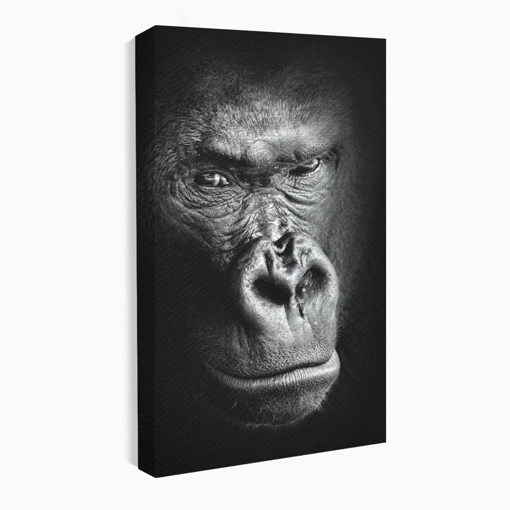 Tablou canvas cu tablou canvas cu portret de gorila, fara rama, pe sasiu de lemn