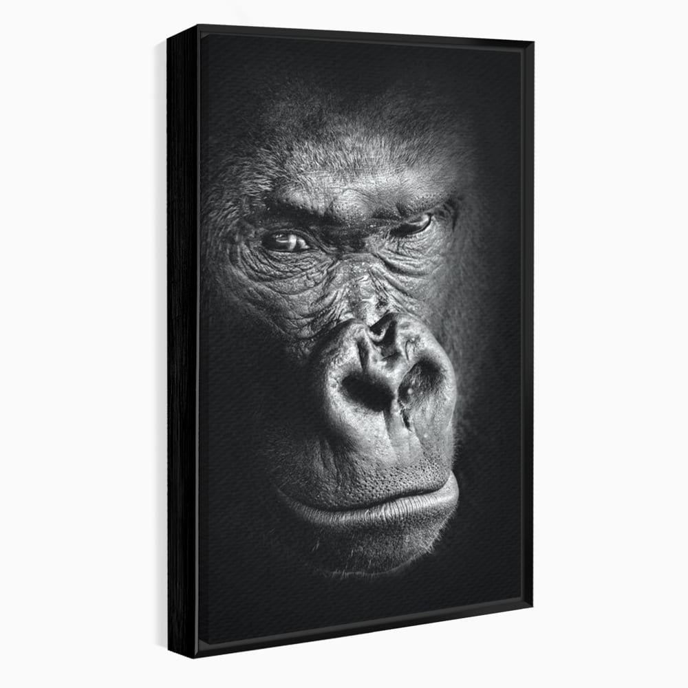Tablou canvas cu tablou canvas cu portret de gorila, in rama de aluminiu negru