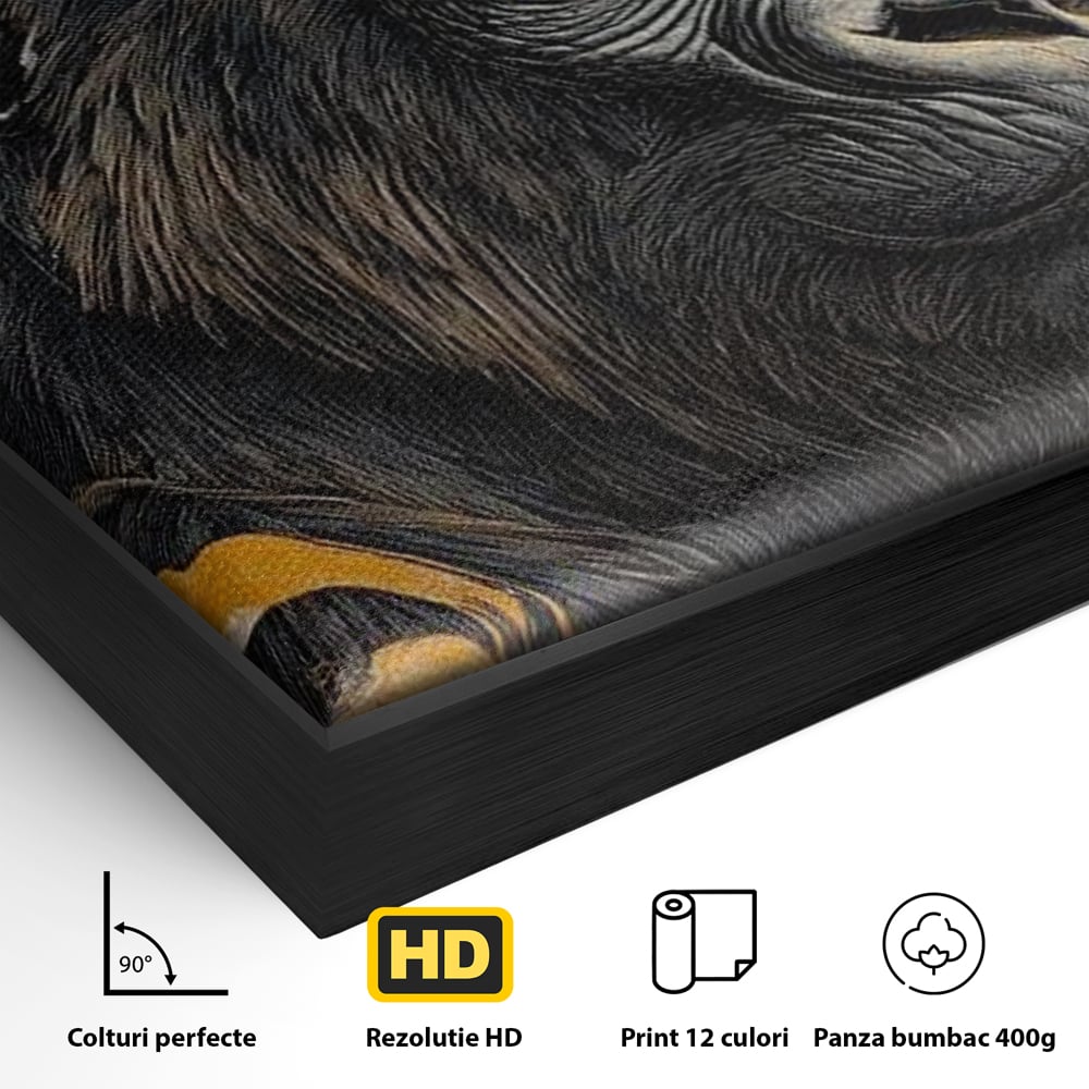 Detaliu al suprafetei: tablou canvas cu gorila si detalii aurii, in rama de aluminiu negru
