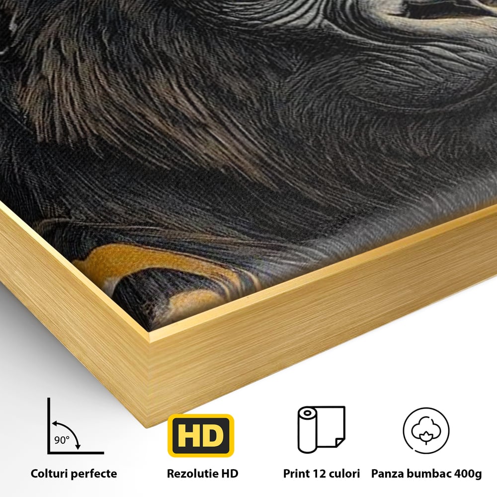 Detaliu al suprafetei: tablou canvas cu gorila si detalii aurii, in rama de aluminiu auriu
