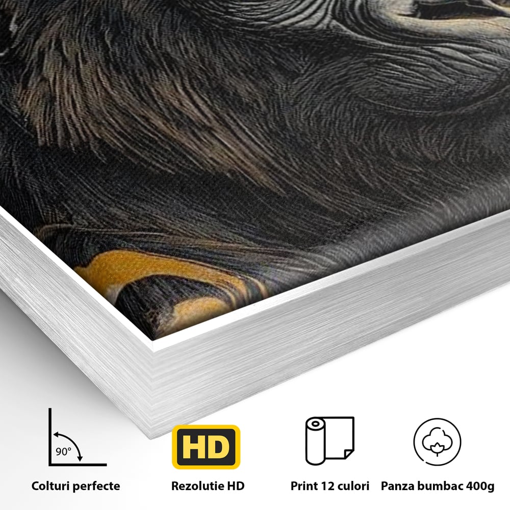 Detaliu al suprafetei: tablou canvas cu gorila si detalii aurii, in rama de aluminiu argintiu