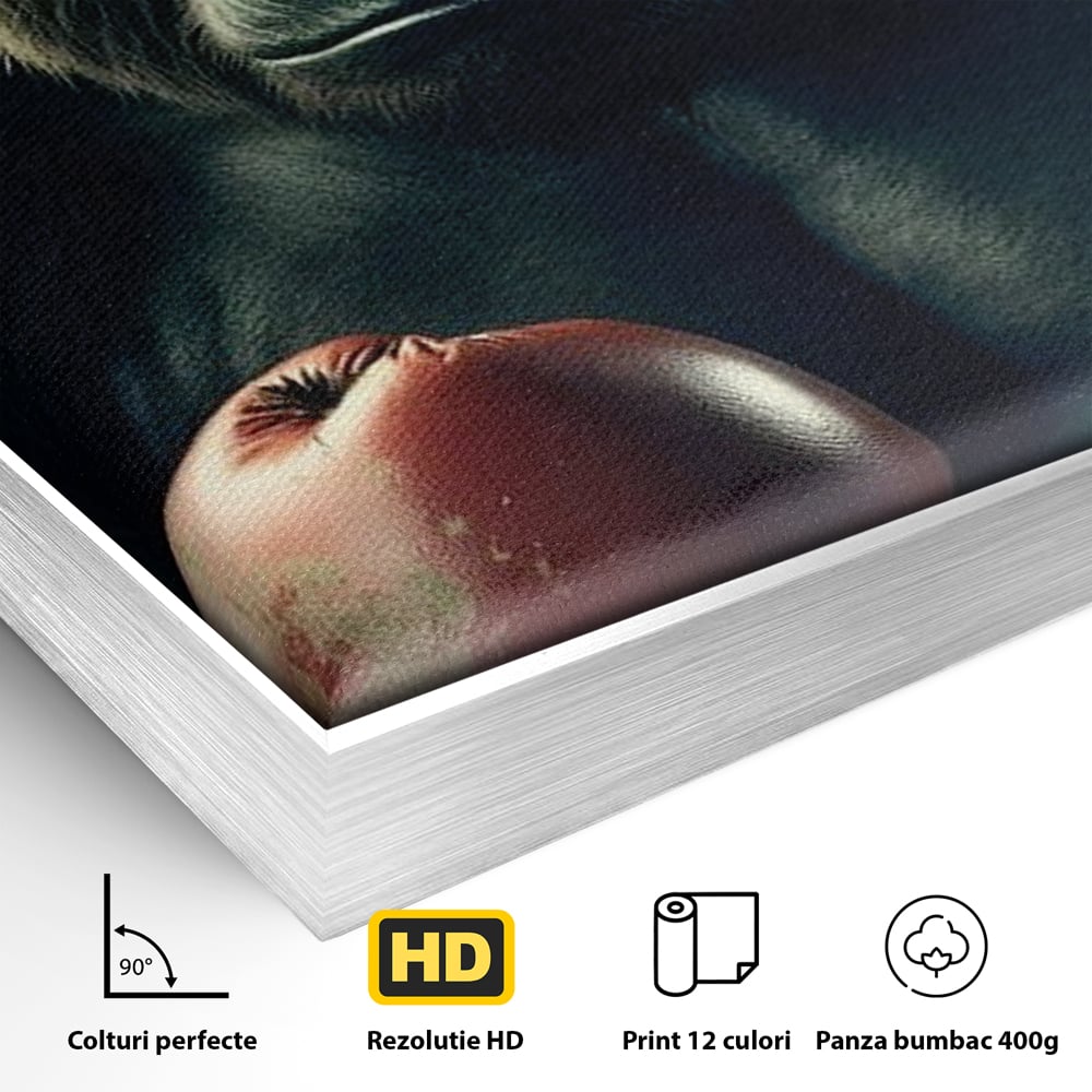 Detaliu al suprafetei: tablou canvas cu gorila boxer, in rama de aluminiu argintiu