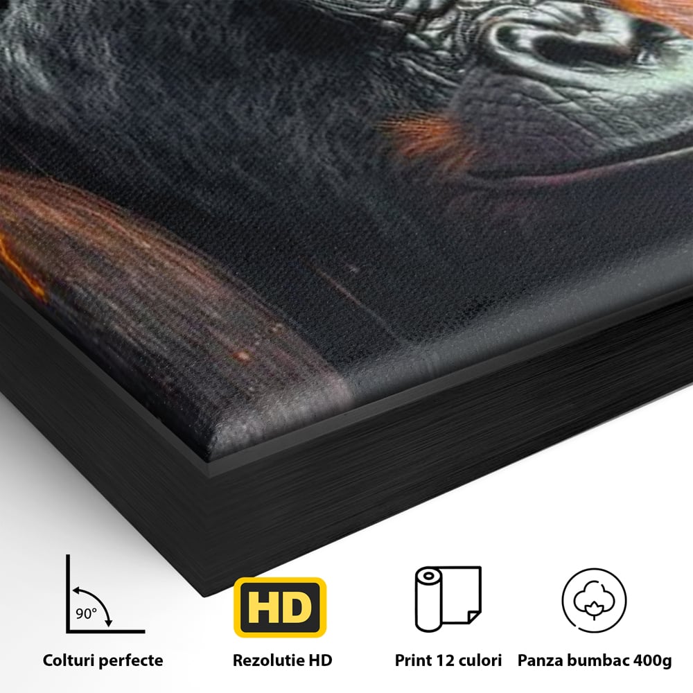 Detaliu al suprafetei: tablou canvas cu gorila furioasa, in rama de aluminiu negru