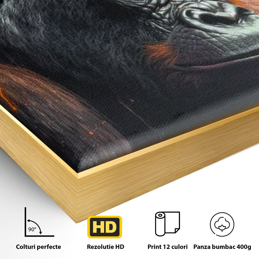 Detaliu al suprafetei: tablou canvas cu gorila furioasa, in rama de aluminiu auriu