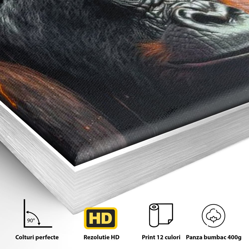 Detaliu al suprafetei: tablou canvas cu gorila furioasa, in rama de aluminiu argintiu