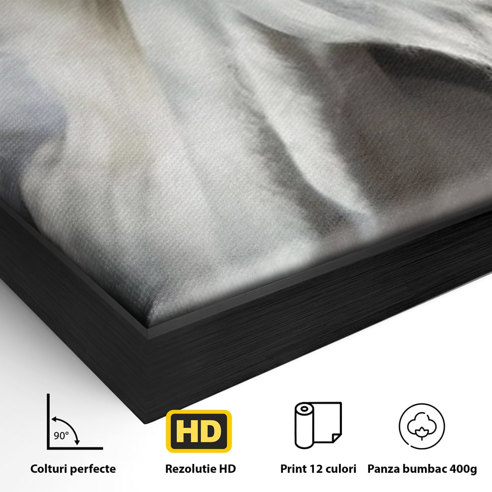 Detaliu al suprafetei: tablou canvas cu un cal alb si nori, in rama de aluminiu negru