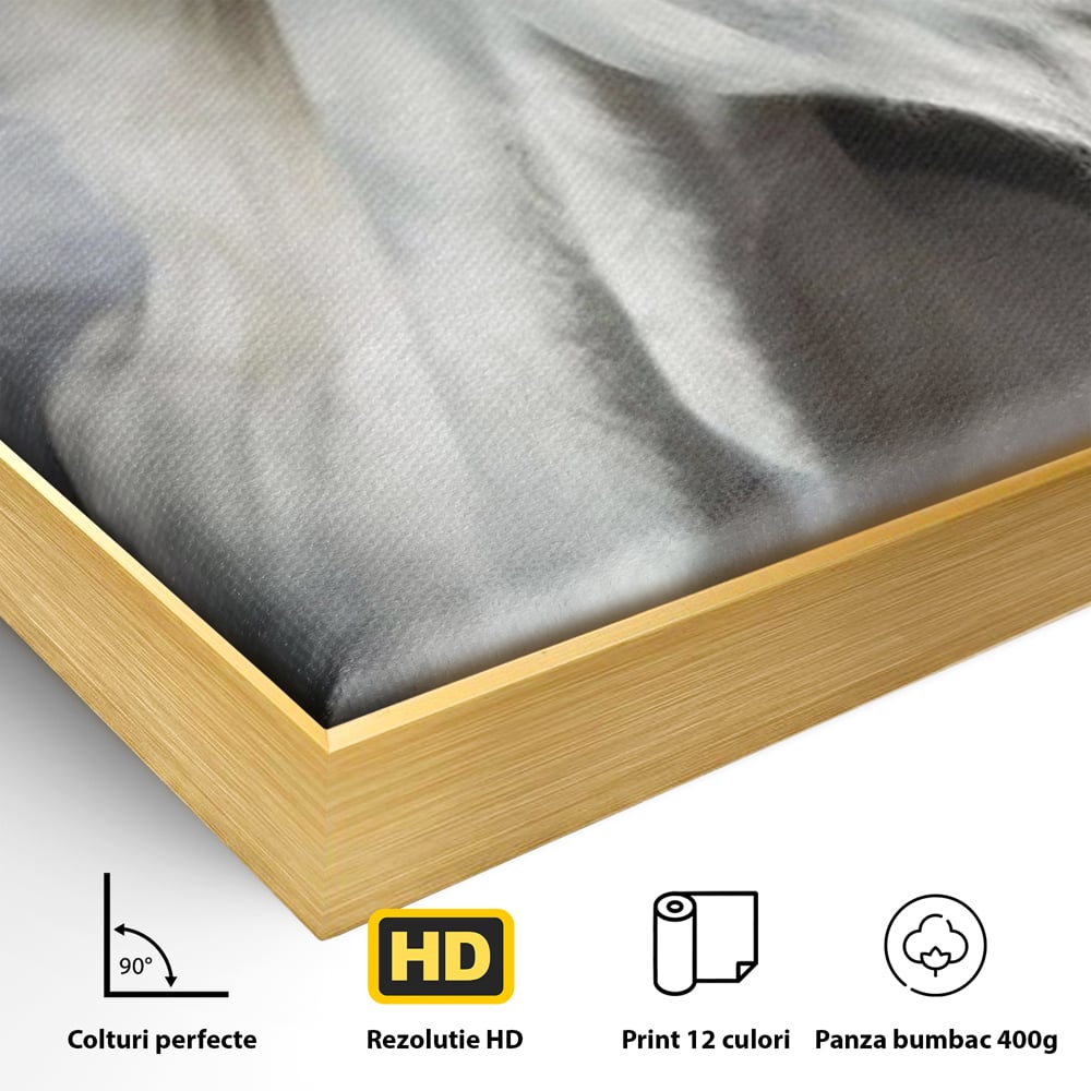 Detaliu al suprafetei: tablou canvas cu un cal alb si nori, in rama de aluminiu auriu