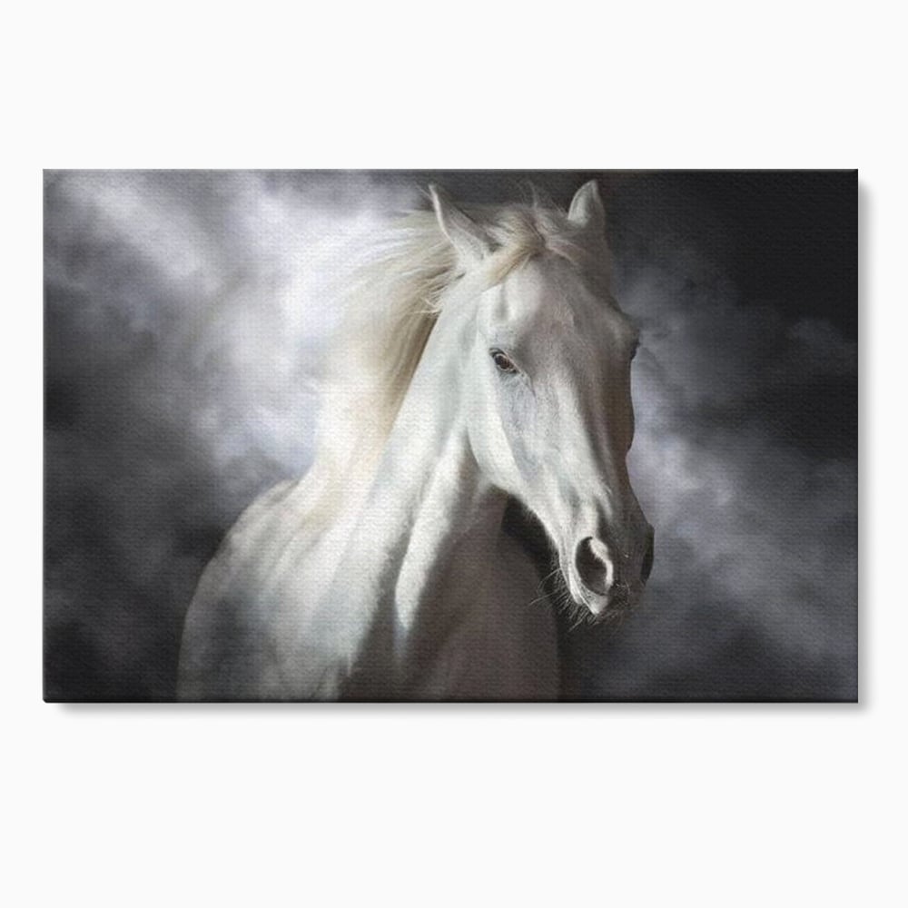 Tablou canvas cu tablou canvas cu un cal alb si nori, fara rama, pe sasiu de lemn