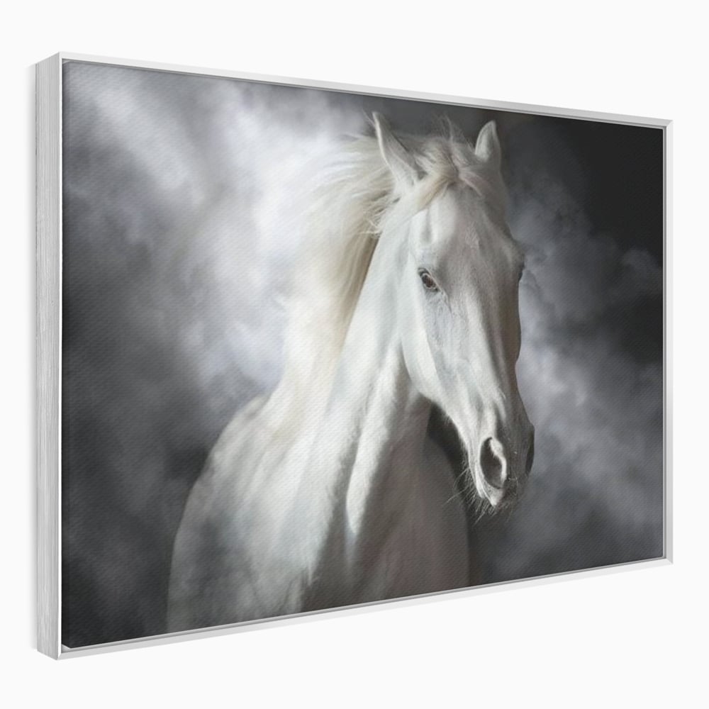 Tablou canvas cu tablou canvas cu un cal alb si nori, in rama de aluminiu argintiu
