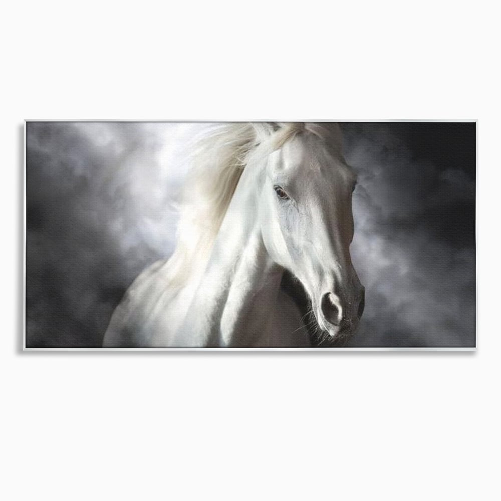 Tablou canvas cu tablou canvas cu un cal alb si nori, in rama de aluminiu argintiu