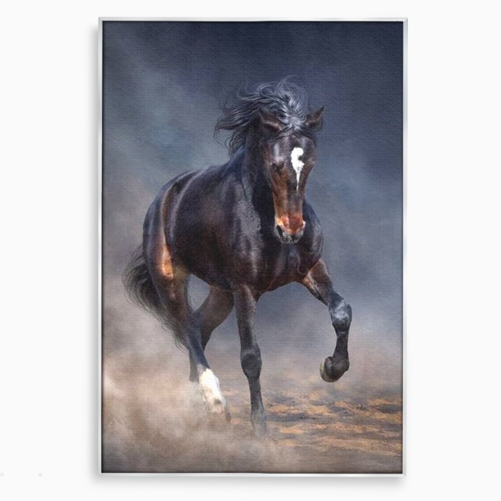 Tablou canvas cu tablou canvas cu cal negru in galop, in rama de aluminiu argintiu