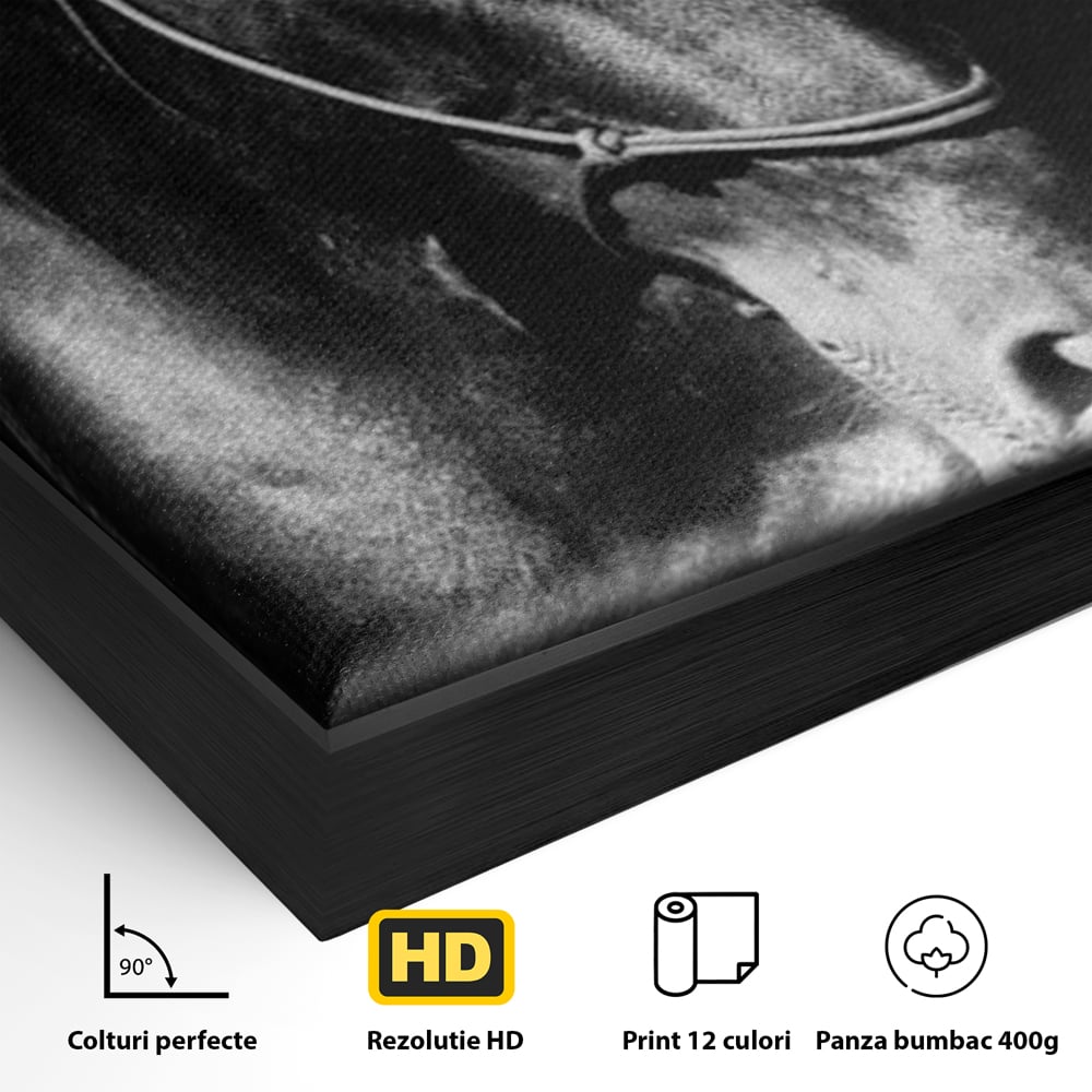 Detaliu al suprafetei: tablou canvas cu un cal negru, in rama de aluminiu negru
