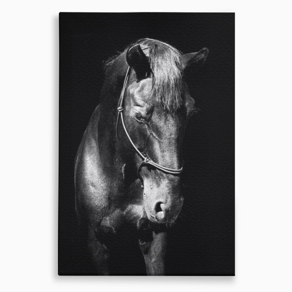 Tablou canvas cu tablou canvas cu un cal negru, fara rama, pe sasiu de lemn
