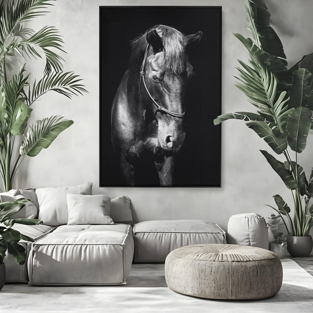 Tablou canvas cu tablou canvas cu un cal negru, in rama de aluminiu negru, pe perete intr-un living