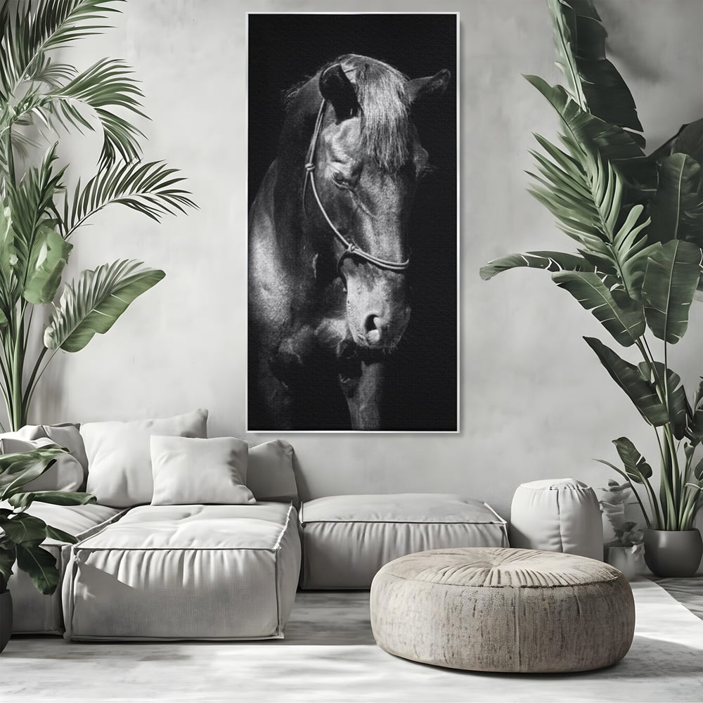Tablou canvas cu tablou canvas cu un cal negru, in rama de aluminiu argintiu, pe perete intr-un living