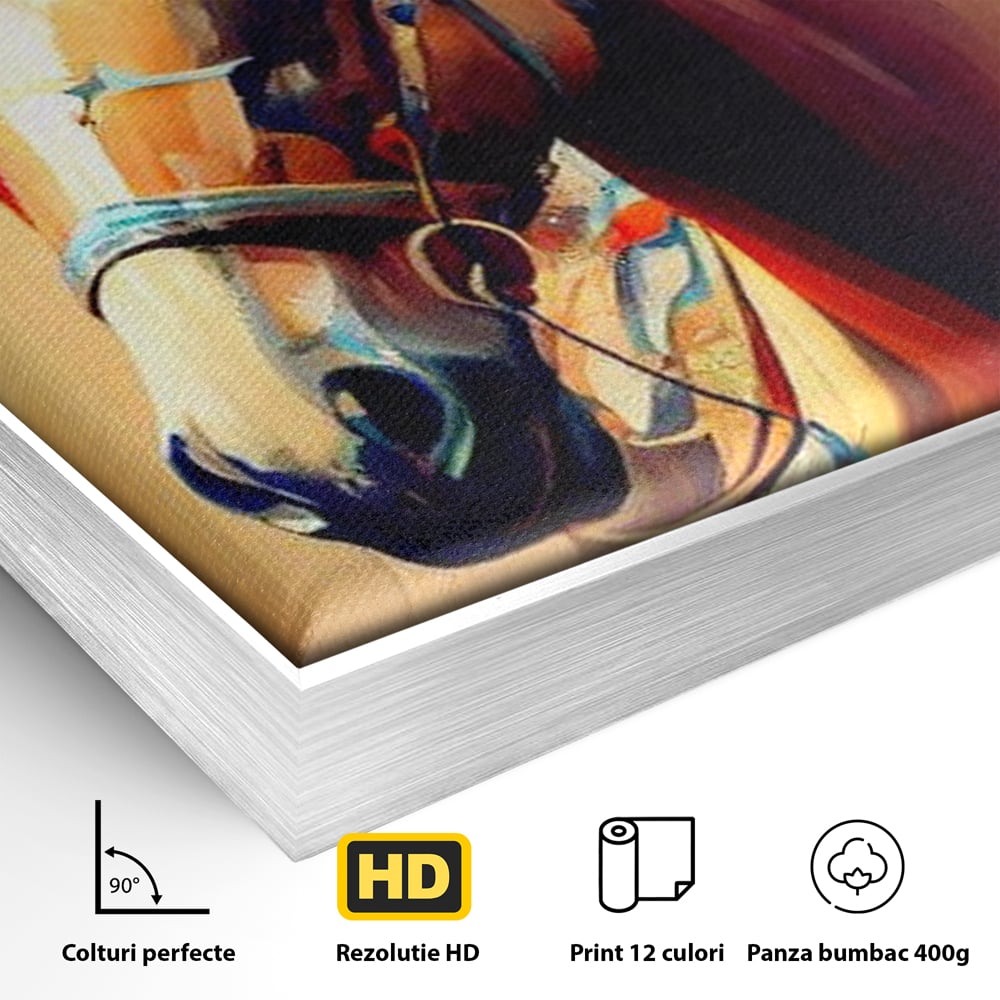 Detaliu al suprafetei: tablou canvas cu cap de cal pictat, in rama de aluminiu argintiu