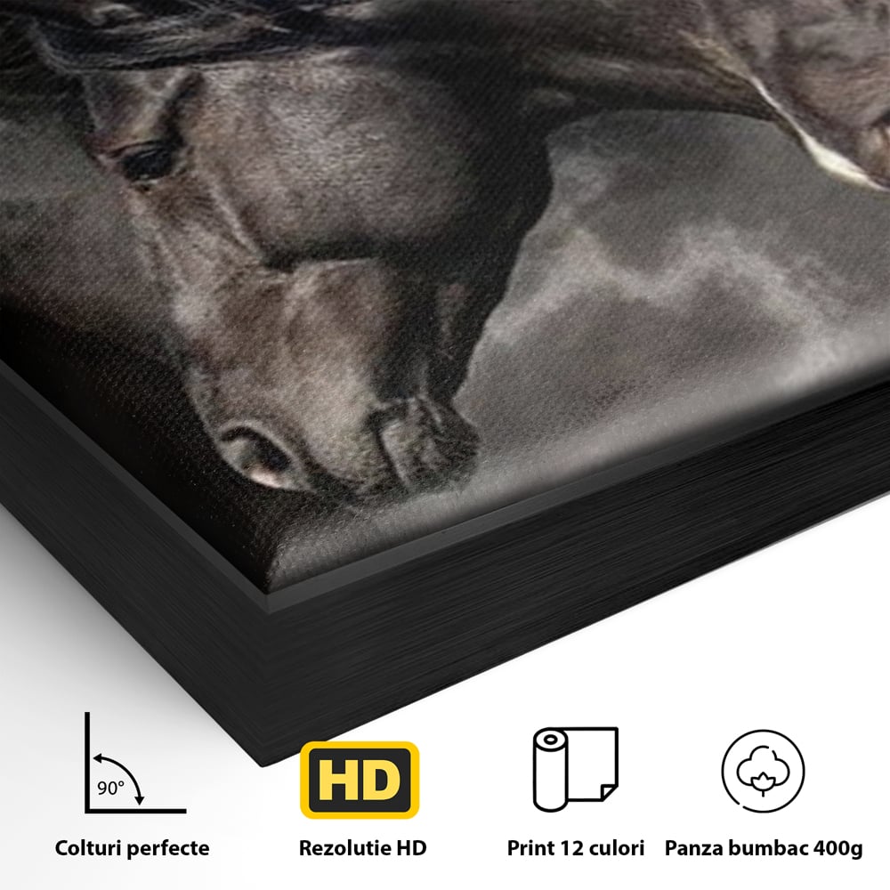Detaliu al suprafetei: tablou canvas cu trei cai negri in galop, in rama de aluminiu negru