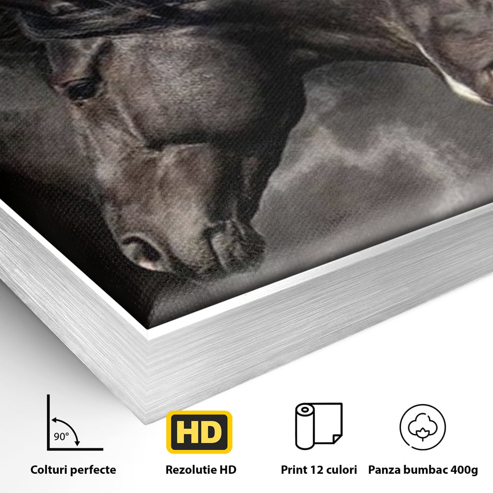 Detaliu al suprafetei: tablou canvas cu trei cai negri in galop, in rama de aluminiu argintiu