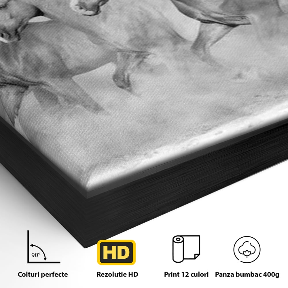 Detaliu al suprafetei: tablou canvas cu cai in galop, in rama de aluminiu negru