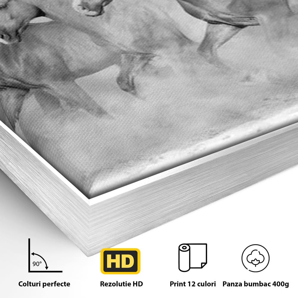 Detaliu al suprafetei: tablou canvas cu cai in galop, in rama de aluminiu argintiu