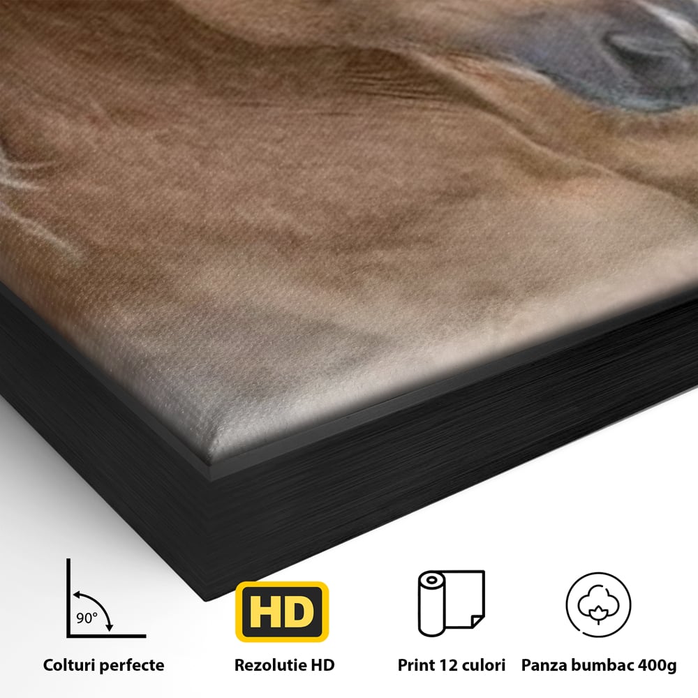 Detaliu al suprafetei: tablou cu armasar in galop si coama alba, in rama de aluminiu negru