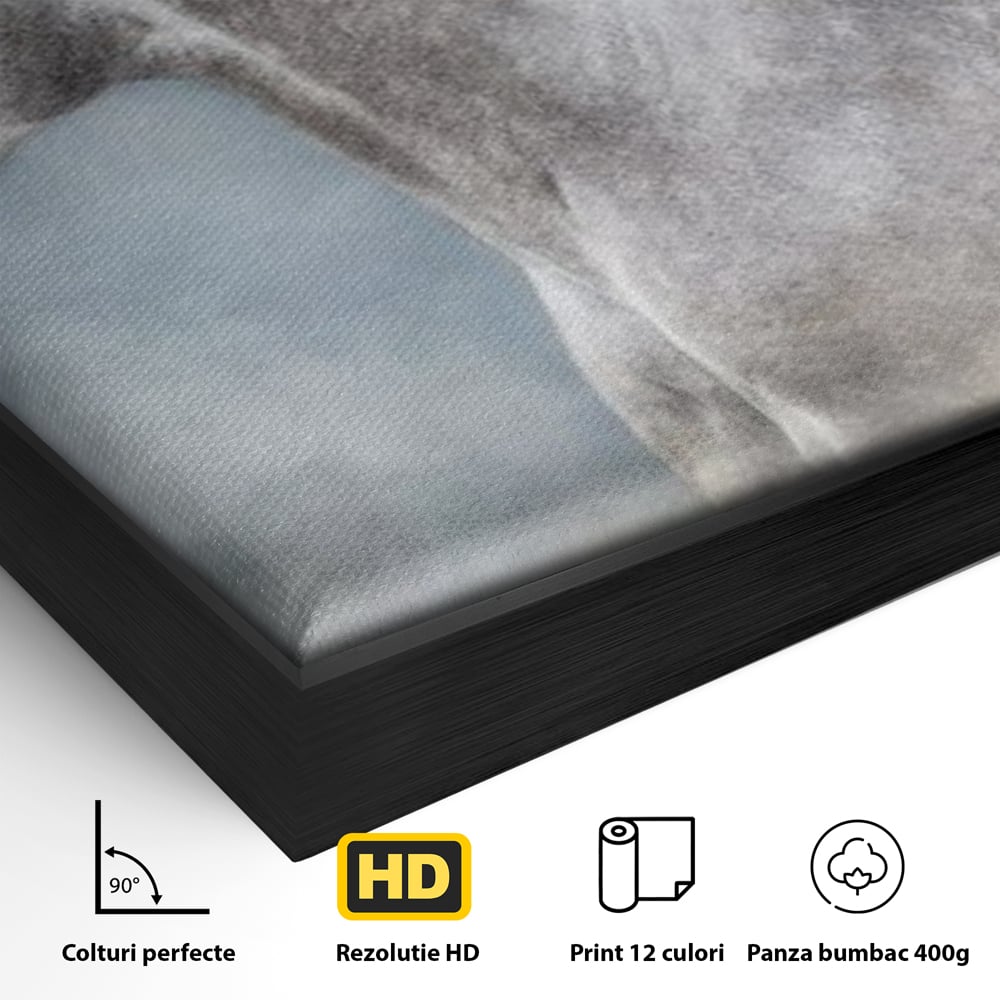 Detaliu al suprafetei: tablou canvas cu armasar in miscare, in rama de aluminiu negru