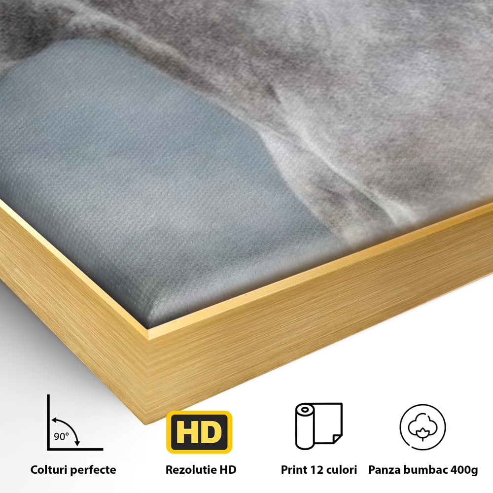 Detaliu al suprafetei: tablou canvas cu armasar in miscare, in rama de aluminiu auriu