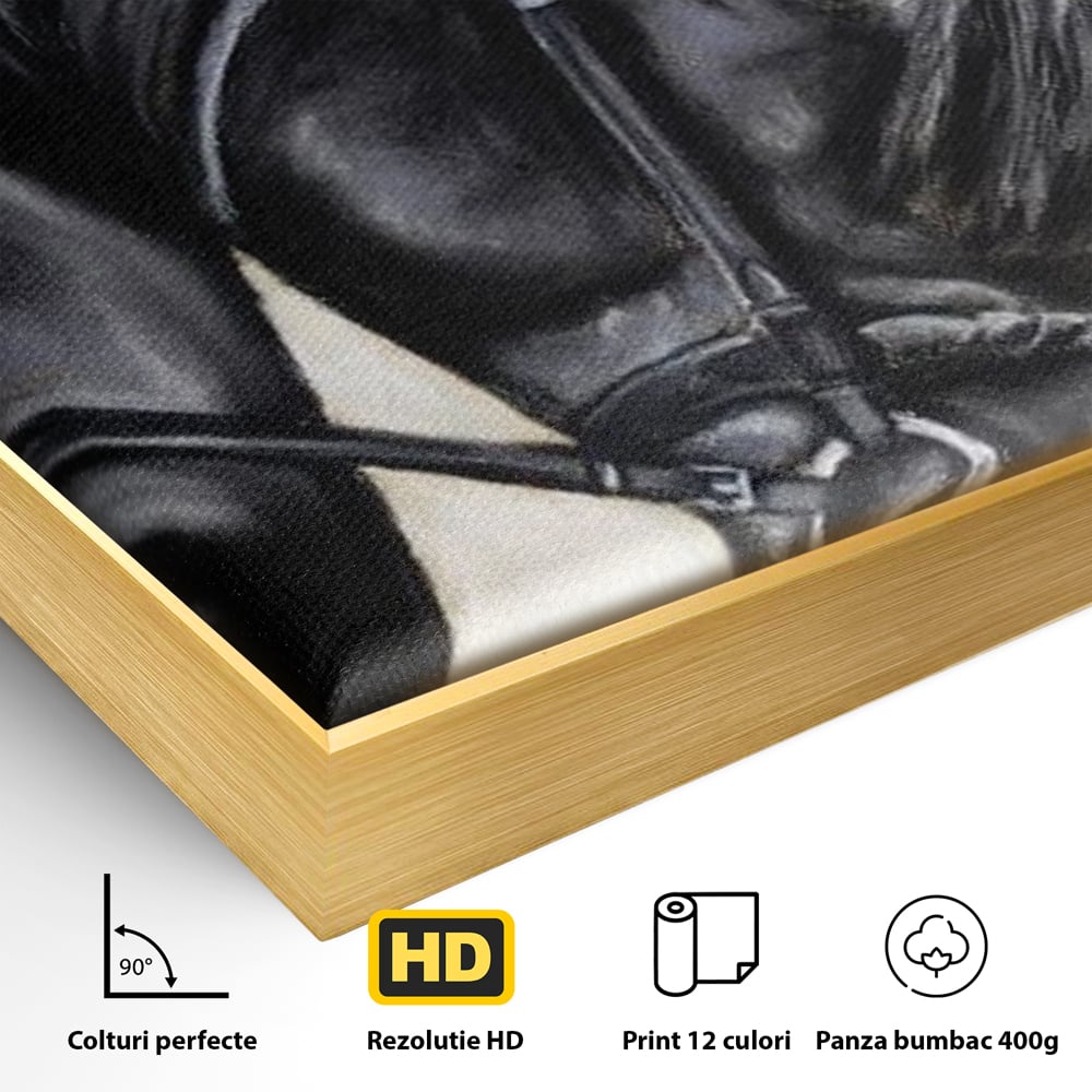 Detaliu al suprafetei: tablou canvas cu pictura de armasar negru in profil, in rama de aluminiu auriu