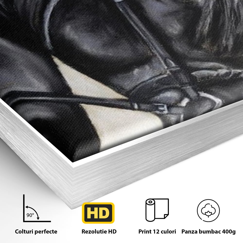 Detaliu al suprafetei: tablou canvas cu pictura de armasar negru in profil, in rama de aluminiu argintiu