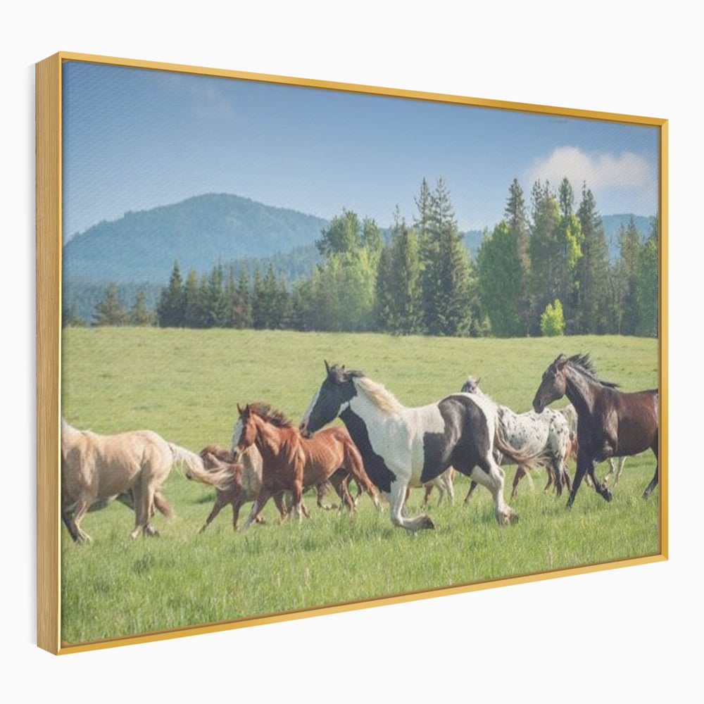Tablou canvas cu grup de cai care galopeaza pe pajiste, in rama de aluminiu auriu