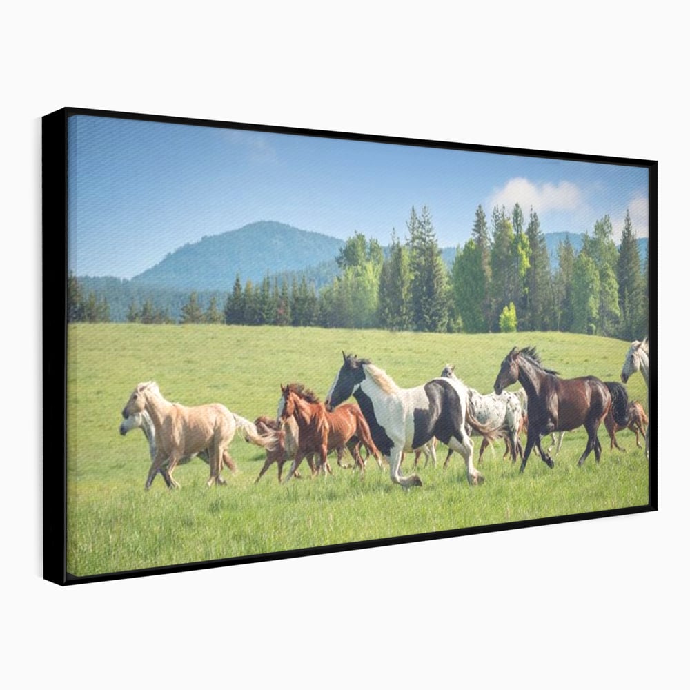 Tablou canvas cu grup de cai care galopeaza pe pajiste, in rama de aluminiu negru