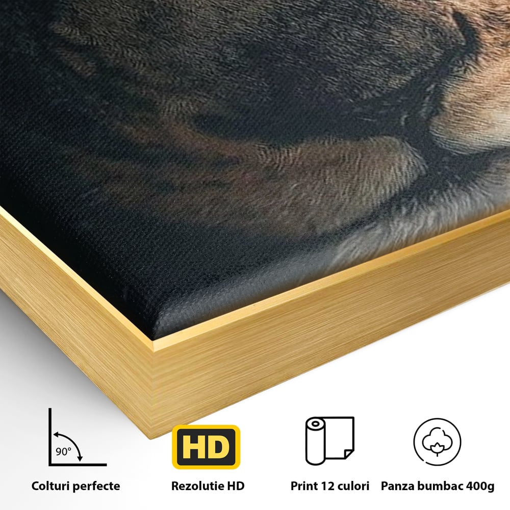 Detaliu al suprafetei: tablou canvas cu prim-plan portret de leu, in rama de aluminiu auriu