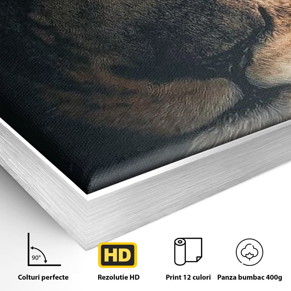 Detaliu al suprafetei: tablou canvas cu prim-plan portret de leu, in rama de aluminiu argintiu