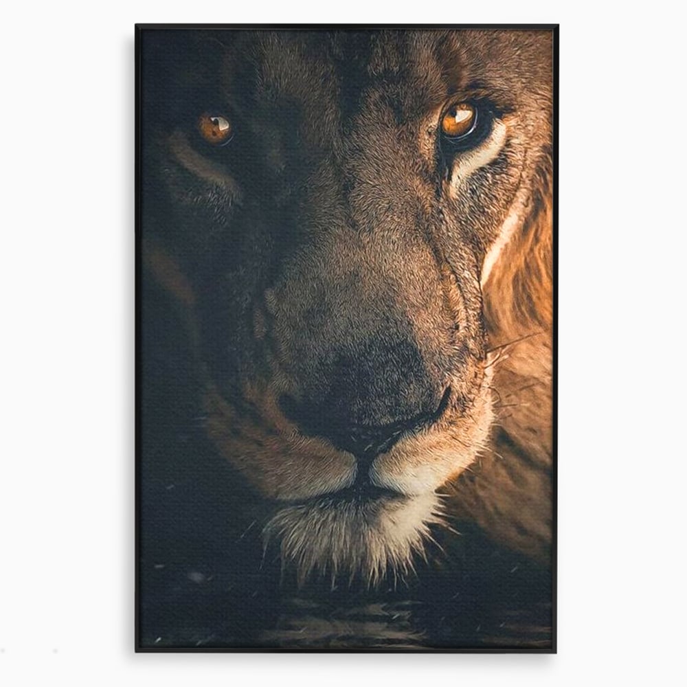 Tablou canvas cu tablou canvas cu prim-plan portret de leu, in rama de aluminiu negru