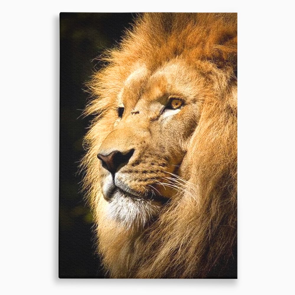Tablou canvas cu tablou canvas cu profil de leu, fara rama, pe sasiu de lemn