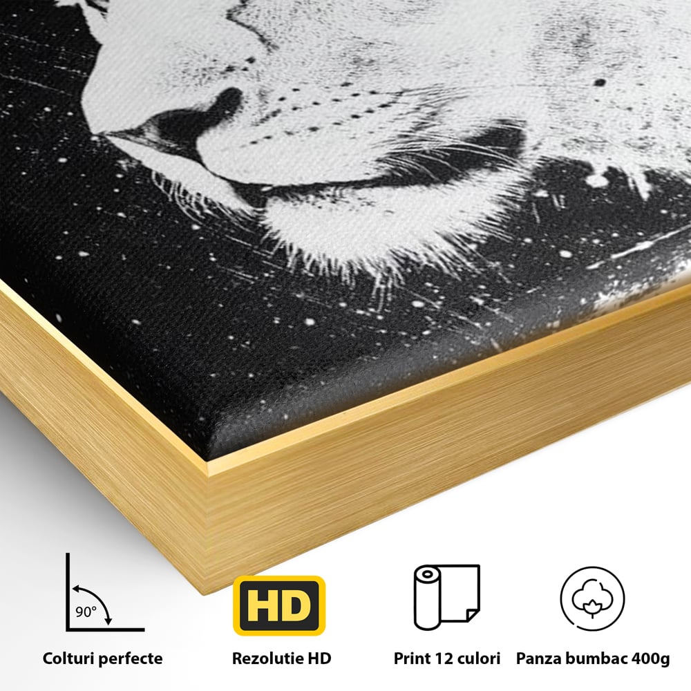 Detaliu al suprafetei: tablou canvas cu leoaica in profil, in rama de aluminiu auriu