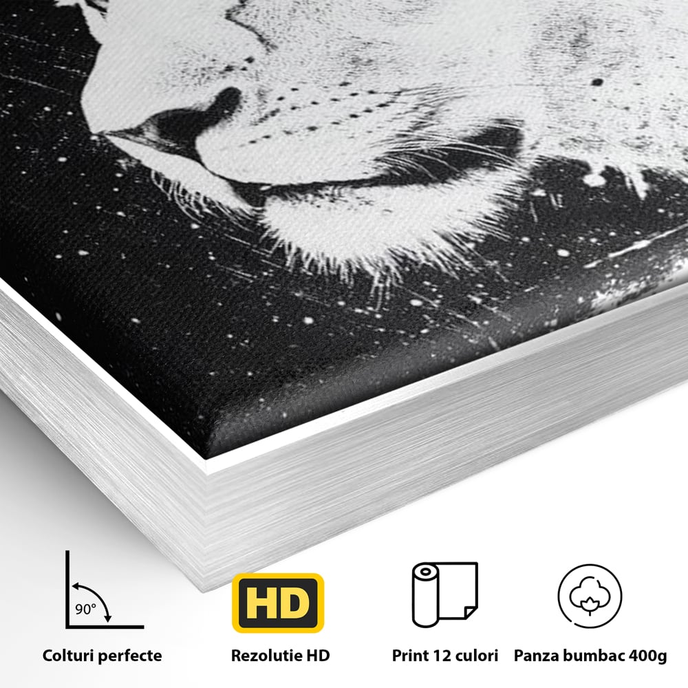 Detaliu al suprafetei: tablou canvas cu leoaica in profil, in rama de aluminiu argintiu