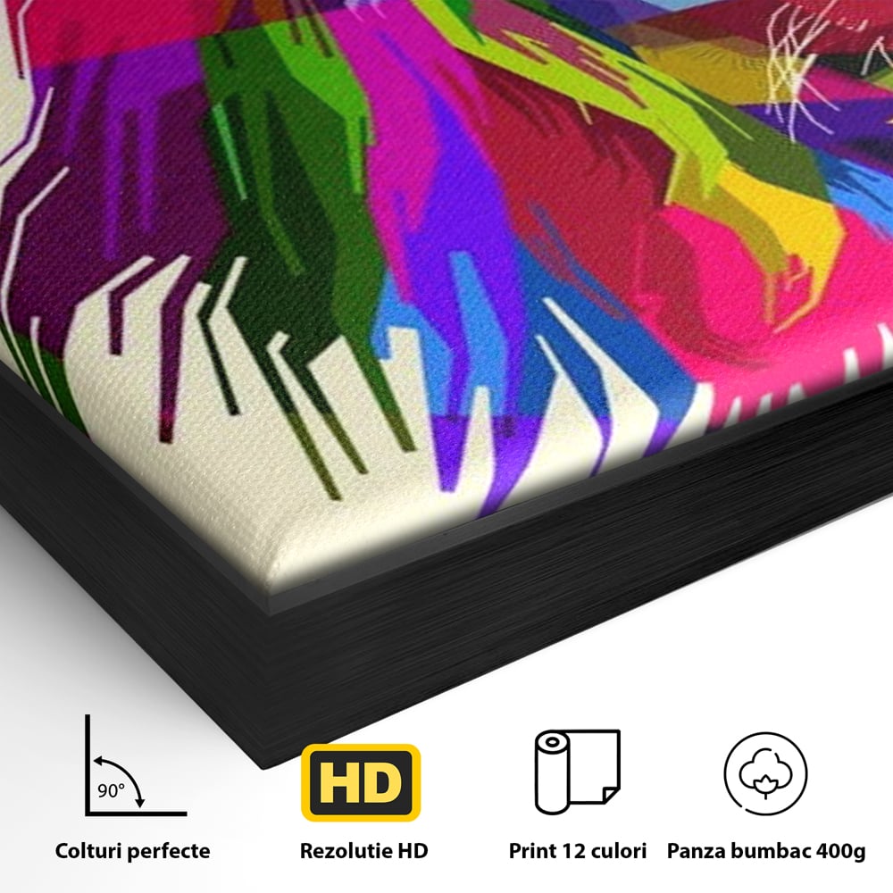 Detaliu al suprafetei: tablou canvas cu leu pop art, in rama de aluminiu negru