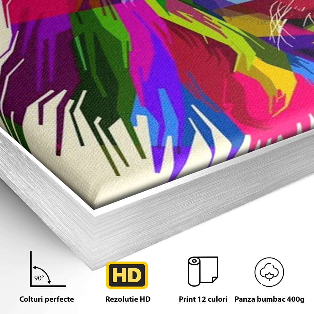 Detaliu al suprafetei: tablou canvas cu leu pop art, in rama de aluminiu argintiu