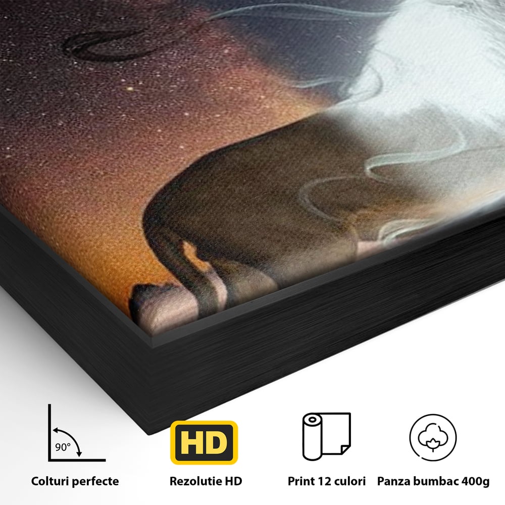Detaliu al suprafetei: tablou canvas cu leu si luna, in rama de aluminiu negru