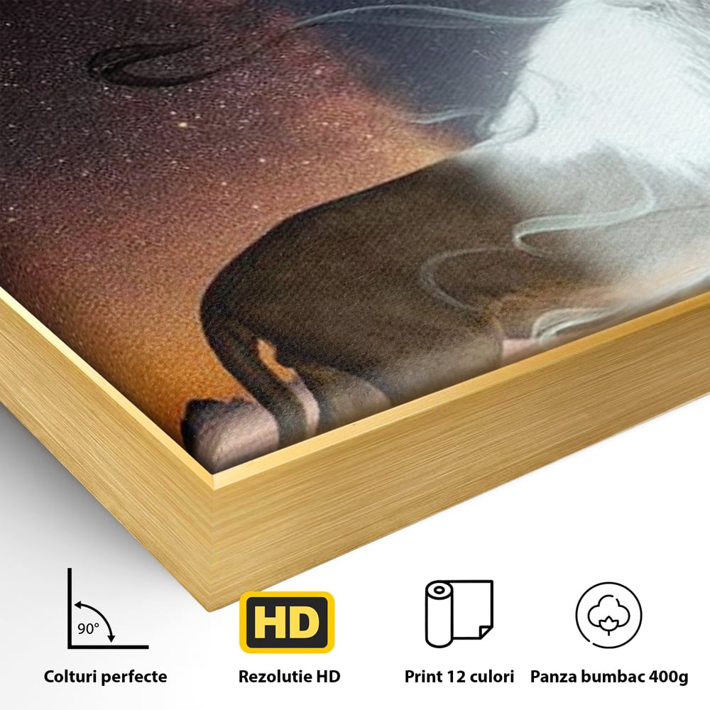Detaliu al suprafetei: tablou canvas cu leu si luna, in rama de aluminiu auriu
