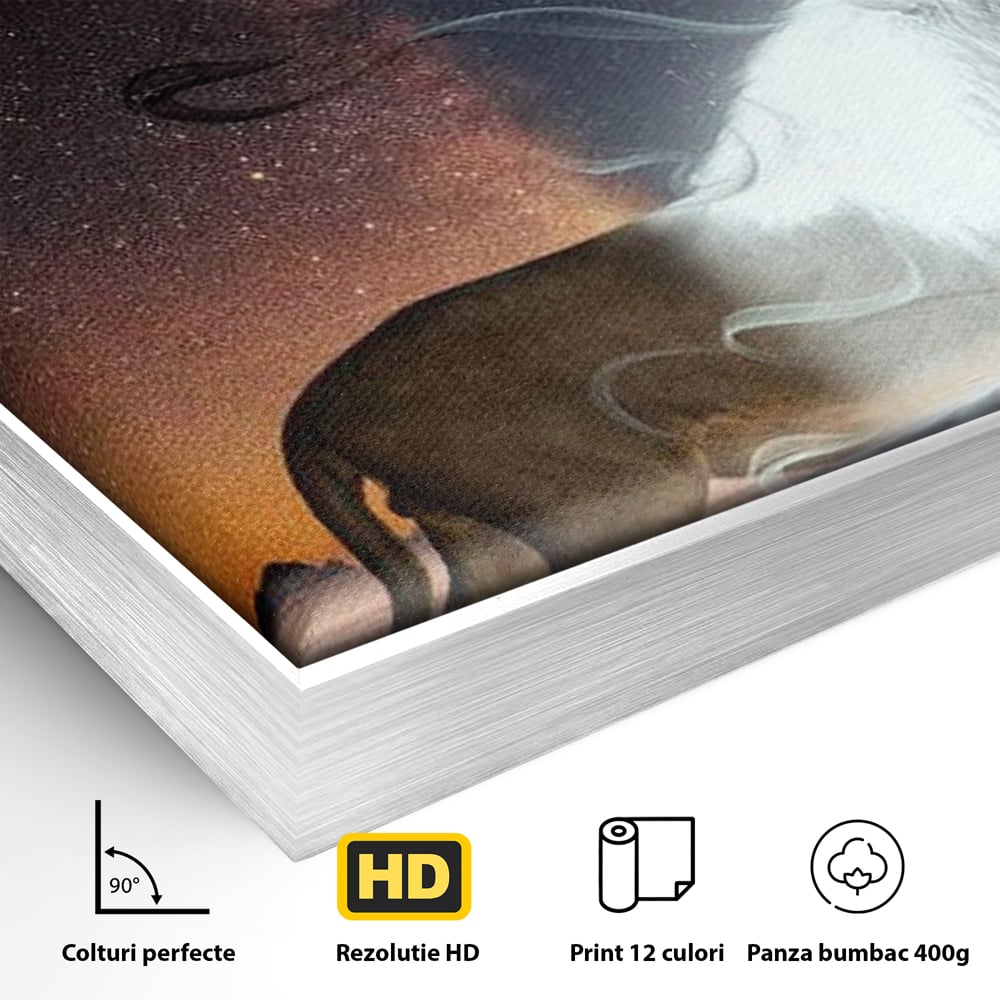 Detaliu al suprafetei: tablou canvas cu leu si luna, in rama de aluminiu argintiu