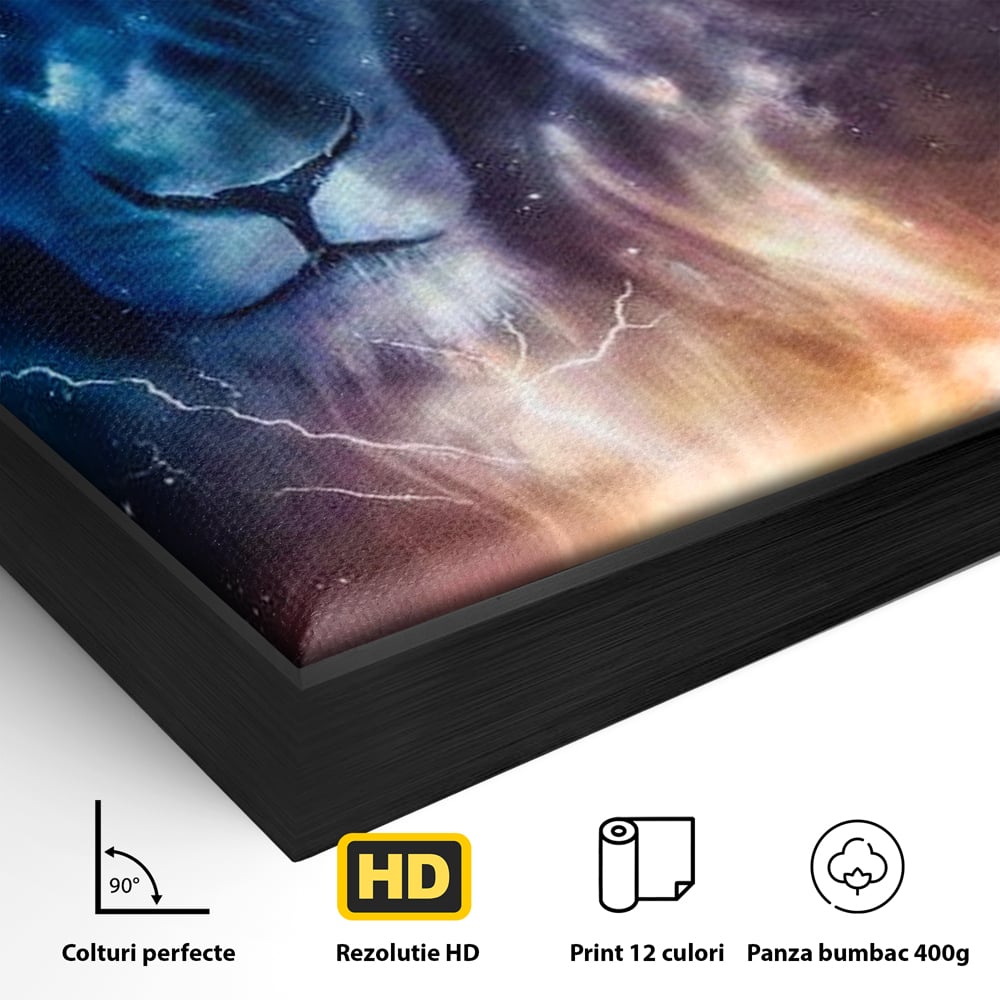Detaliu al suprafetei: tablou canvas cu leu in univers, in rama de aluminiu negru