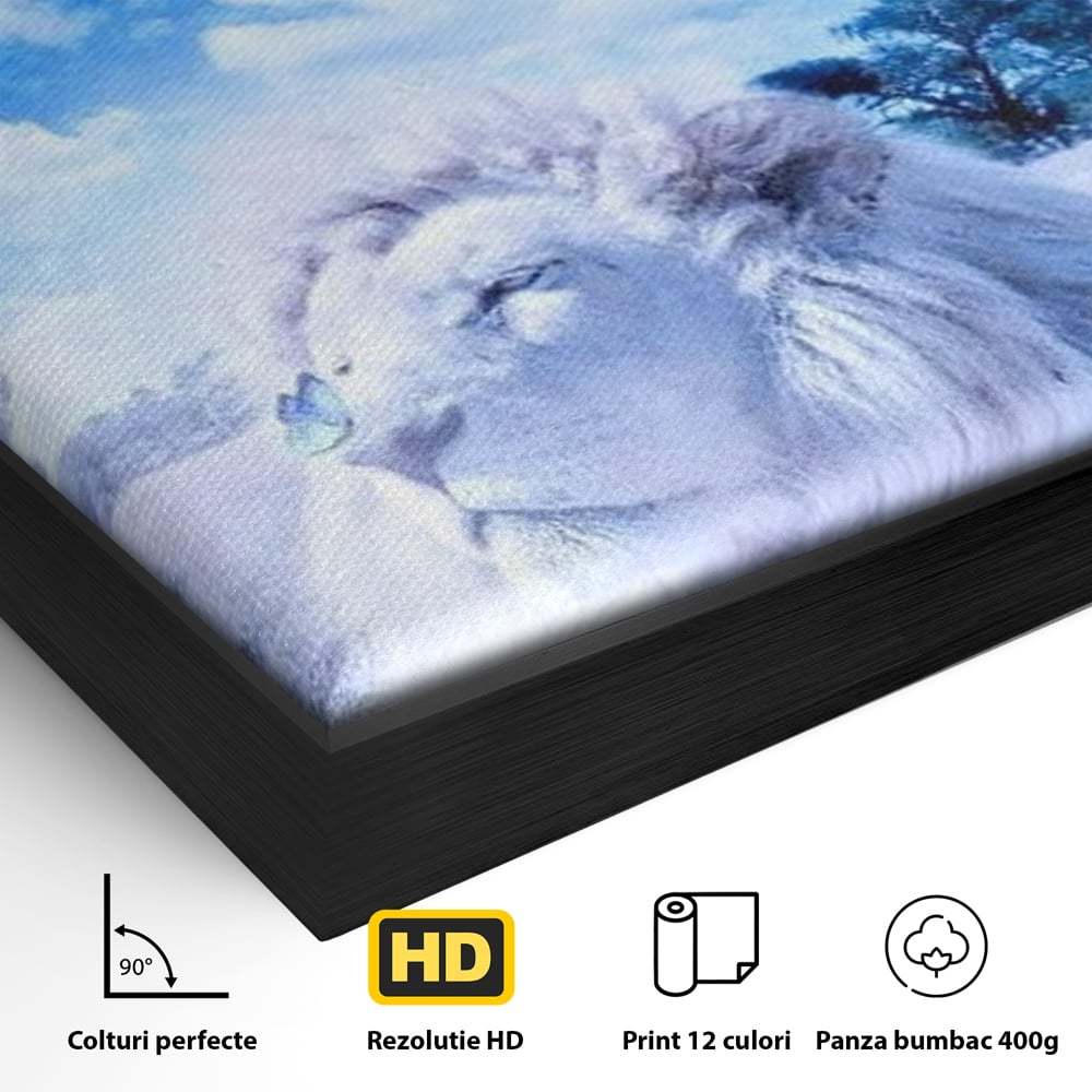 Detaliu al suprafetei: tablou canvas cu leu si planete, in rama de aluminiu negru