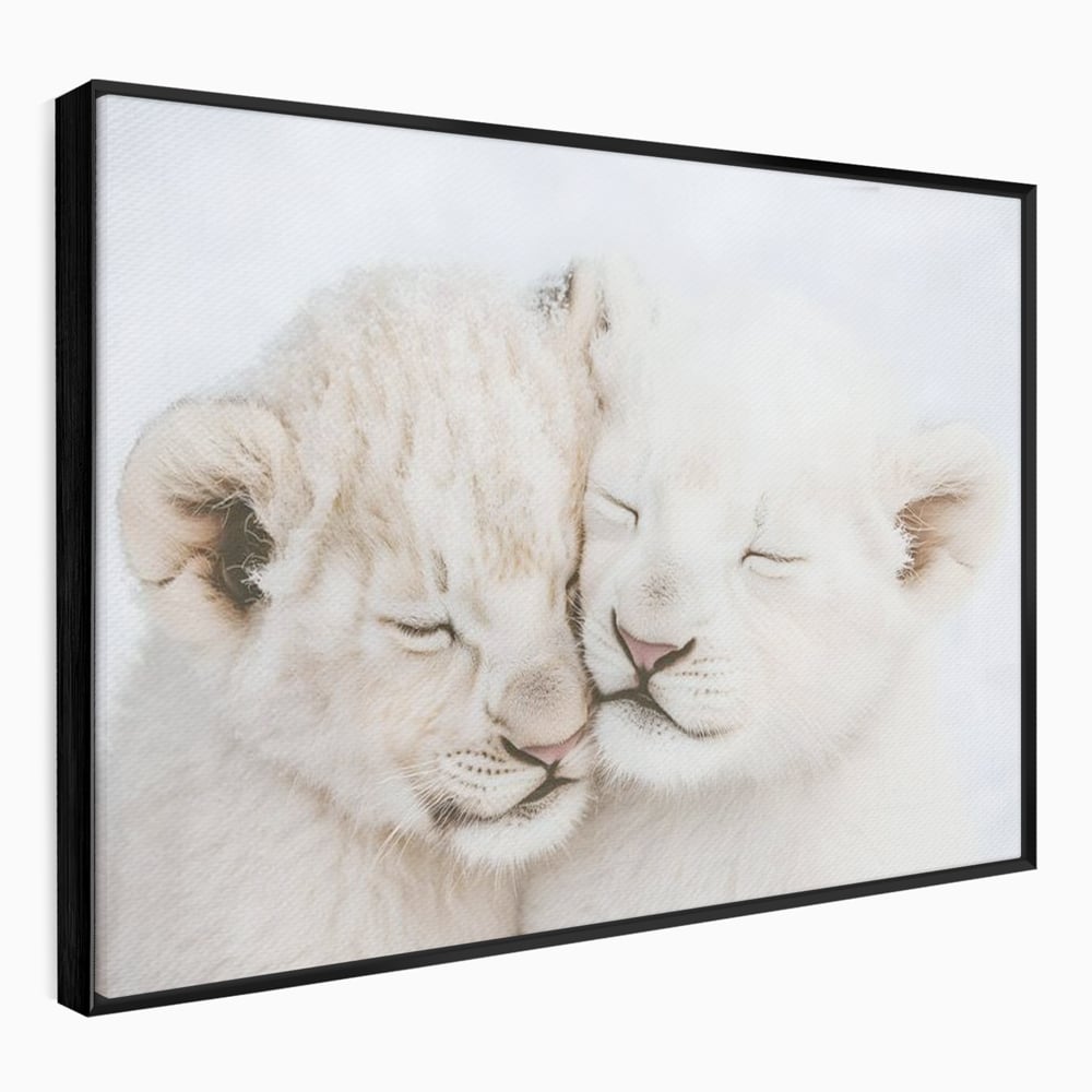Tablou canvas cu doi pui de leu dormind imbratisati, in rama de aluminiu negru