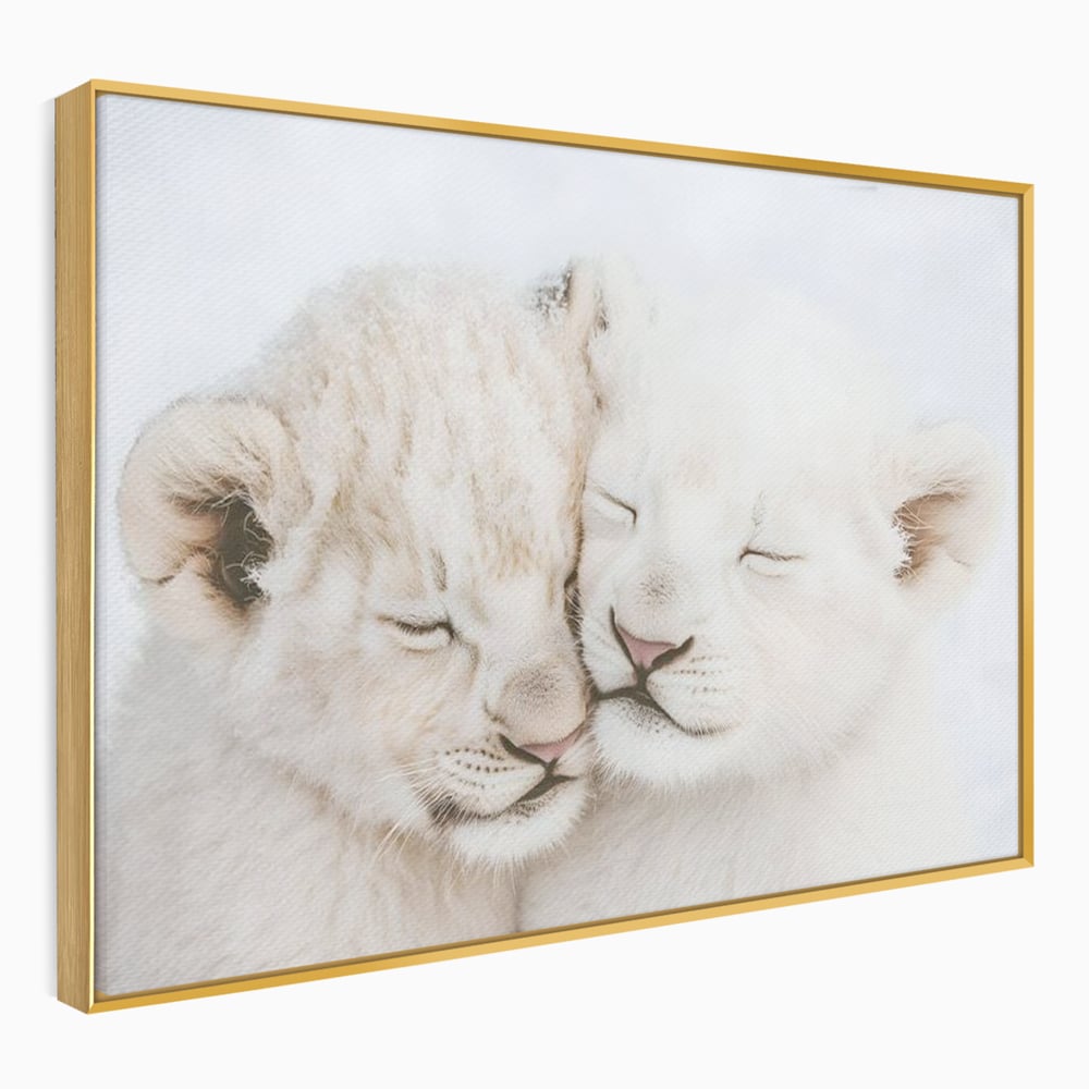 Tablou canvas cu doi pui de leu dormind imbratisati, in rama de aluminiu auriu