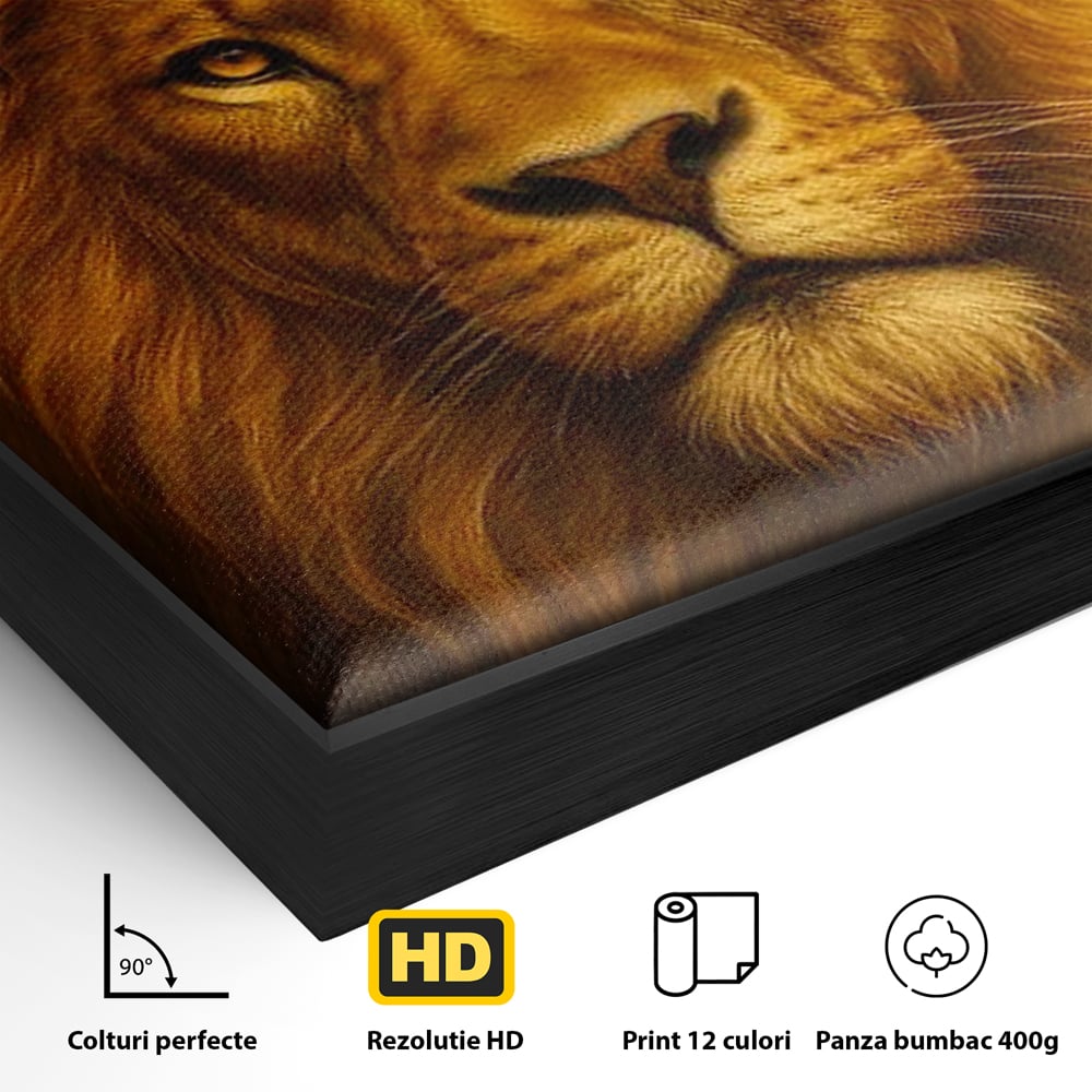 Detaliu al suprafetei: tablou canvas cu portret de leu, in rama de aluminiu negru